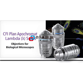 CFI Plan Apochromat Lambda系列物镜
