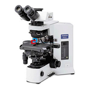 金相显微镜BX51M