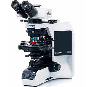 偏光显微镜BX53P
