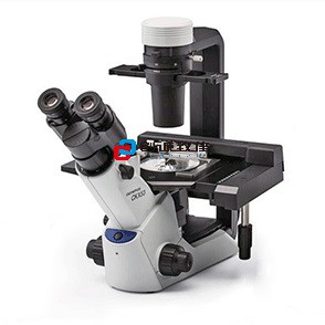 CKX53常规倒置型显微镜